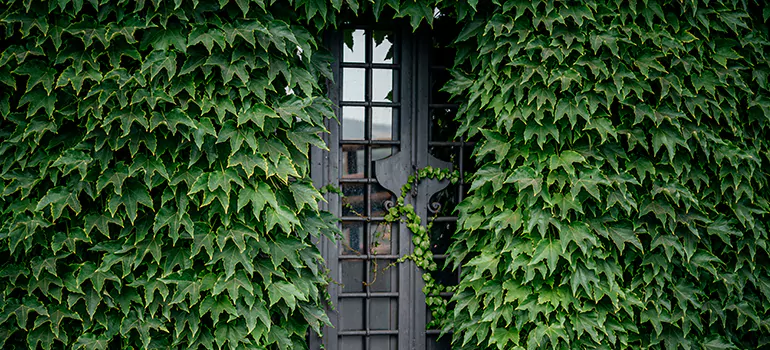 Garden Gate Repair in Bradenton, FL