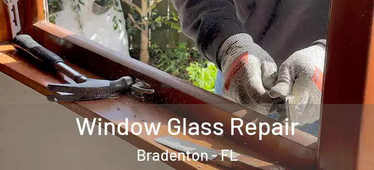  Window Glass Repair Bradenton - FL
