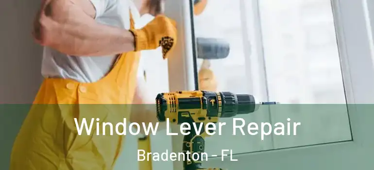  Window Lever Repair Bradenton - FL