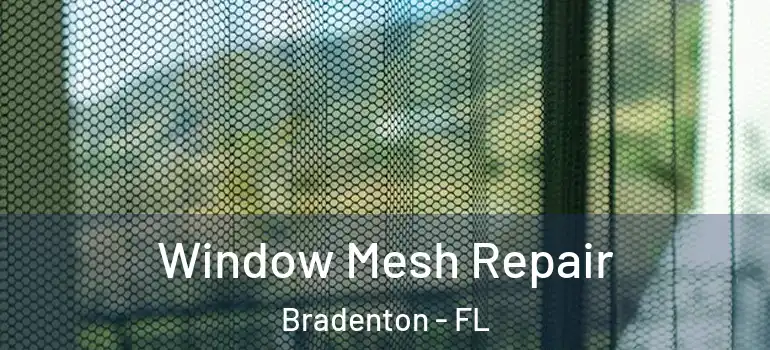  Window Mesh Repair Bradenton - FL