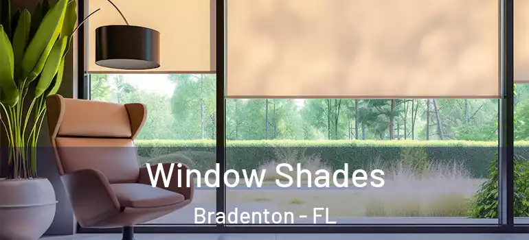  Window Shades Bradenton - FL