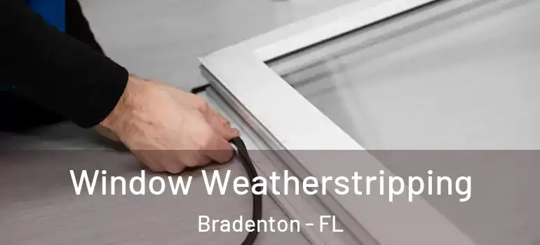  Window Weatherstripping Bradenton - FL